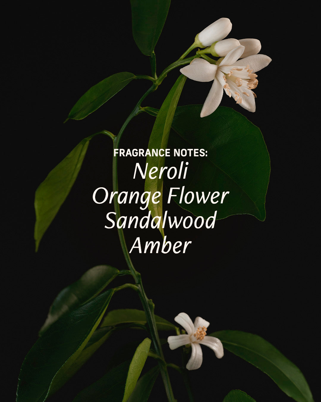 Naked Neroli - Shower Luxuries Set