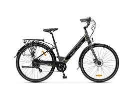 Argento Omega E-cykel Unisex